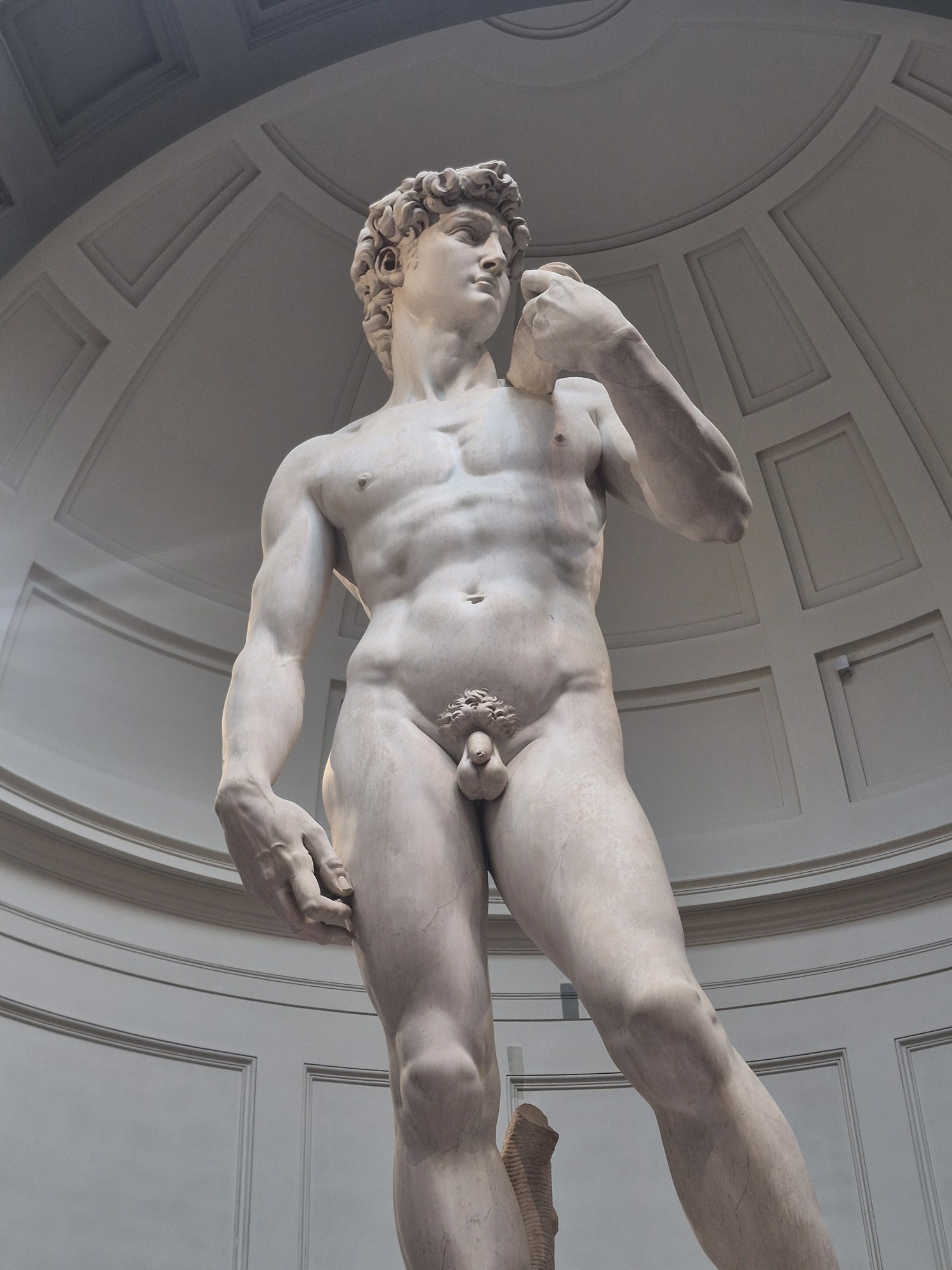 Michelangelo's David under the skylit dome of the Tribune at the Galleria dell'Accademia, seen from below