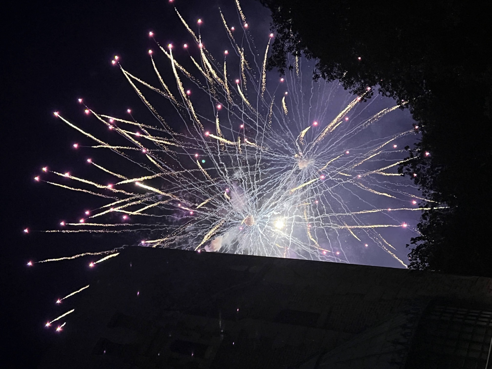 A burst of gold and pink fireworks filling the night sky over Magic Kingdom, treetops and rooftops silhouetted below